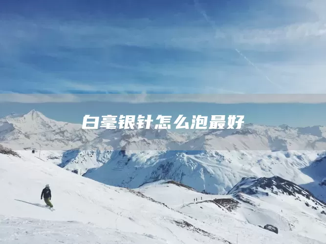 白毫银针怎么泡最好(图1)