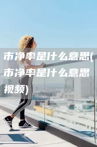 市净率是什么意思(市净率是什么意思视频)(图1)