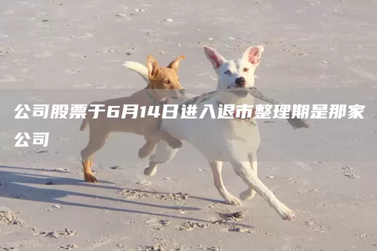 公司股票于6月14日进入退市整理期是那家公司(图1)