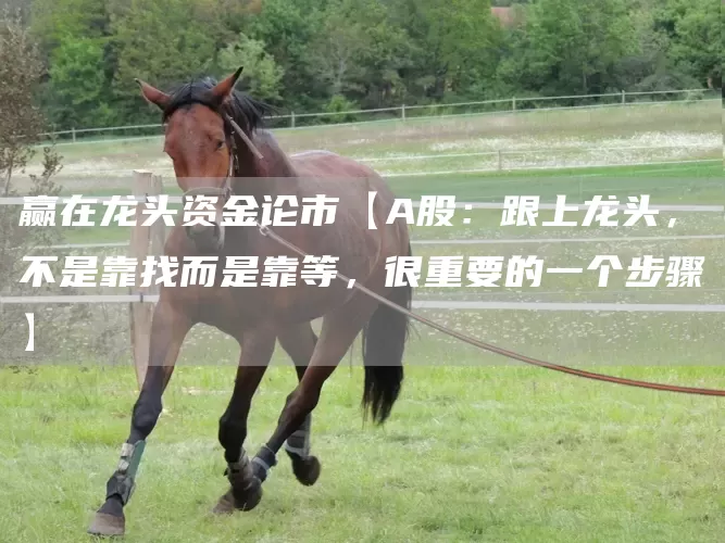 赢在龙头资金论市【A股：跟上龙头，不是靠找而是靠等，很重要的一个步骤】(图1)