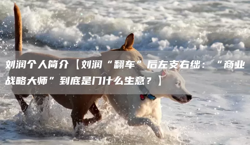 刘润个人简介【刘润“翻车”后左支右绌：“商业战略大师”到底是门什么生意？】(图1)