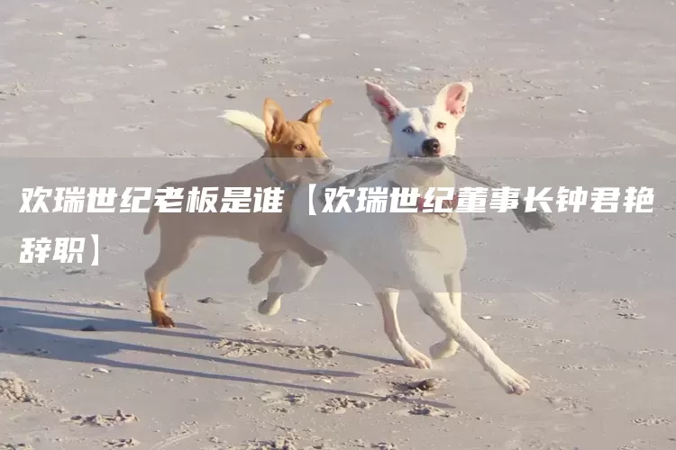 欢瑞世纪老板是谁【欢瑞世纪董事长钟君艳辞职】(图1)