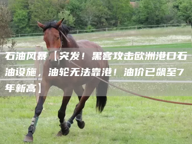 石油风暴【突发！黑客攻击欧洲港口石油设施，油轮无法靠港！油价已飙至7年新高】(图1)