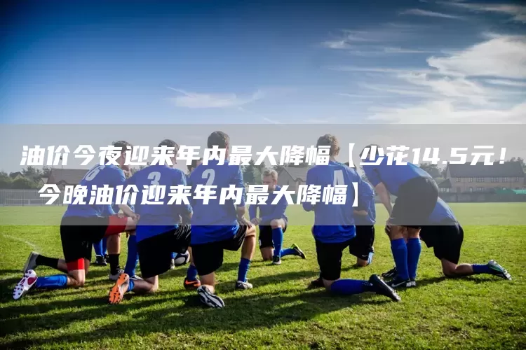 油价今夜迎来年内最大降幅【少花14.5元！ 今晚油价迎来年内最大降幅】(图1)