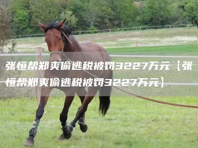 张恒帮郑爽偷逃税被罚3227万元【张恒帮郑爽偷逃税被罚3227万元】(图1)