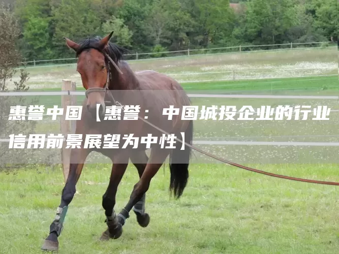 惠誉中国【惠誉:中国城投企业的行业信用前景展望为中性】(图1) 惠誉中国【惠誉:中国城投企业的行业信用前景展望为中性】(图1)