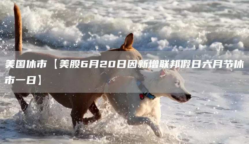 美国休市【美股6月20日因新增联邦假日六月节休市一日】(图1) 美国休市【美股6月20日因新增联邦假日六月节休市一日】(图1)