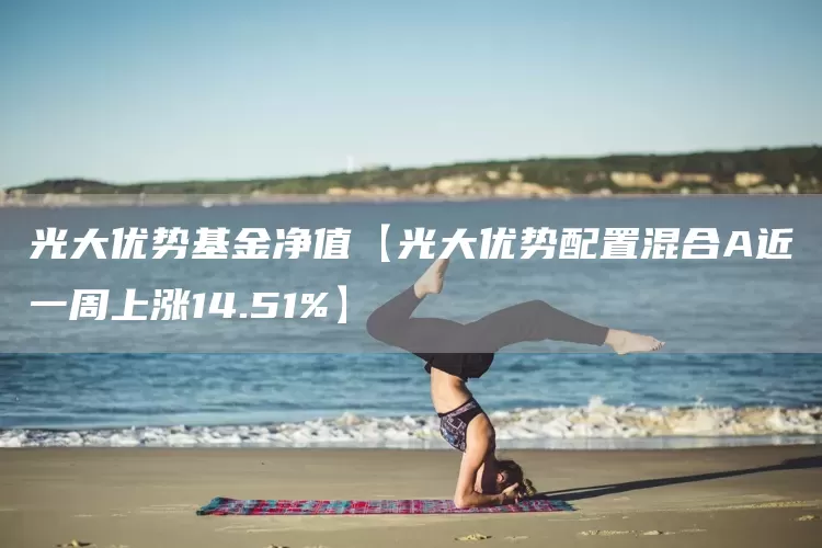 光大优势基金净值【光大优势配置混合A近一周上涨14.51%】(图1) 光大优势基金净值【光大优势配置混合A近一周上涨14.51%】(图1)