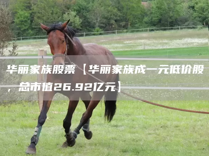 华丽家族股票【华丽家族成一元低价股，总市值26.92亿元】(图1)
