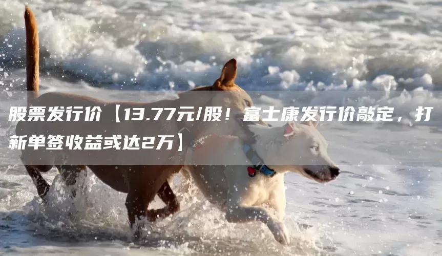 股票发行价【13.77元/股！富士康发行价敲定，打新单签收益或达2万】(图1)