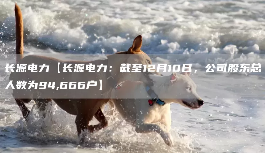 长源电力【长源电力:截至12月10日,公司股东总人数为94,666户】(图1) 长源电力【长源电力:截至12月10日,公司股东总人数为94,666户】(图1)