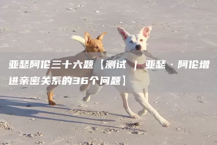 亚瑟阿伦三十六题【测试 | 亚瑟·阿伦增进亲密关系的36个问题】(图1)