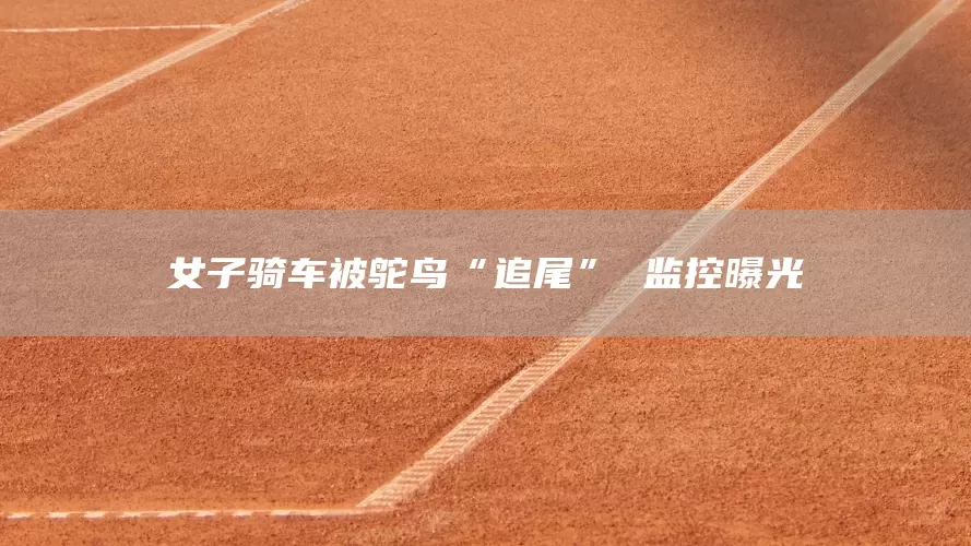 女子骑车被鸵鸟“追尾” 监控曝光(图1)
