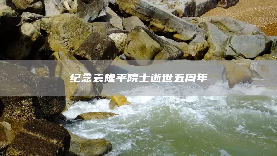 纪念袁隆平院士逝世五周年(图1)