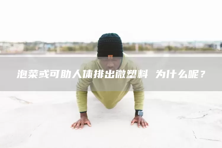泡菜或可助人体排出微塑料 为什么呢？(图1)