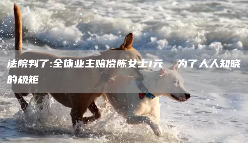 法院判了:全体业主赔偿陈女士1元  为了人人知晓的规矩(图1)