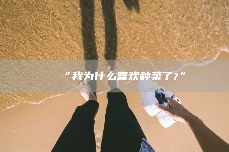 “我为什么喜欢种菜了?”(图1)