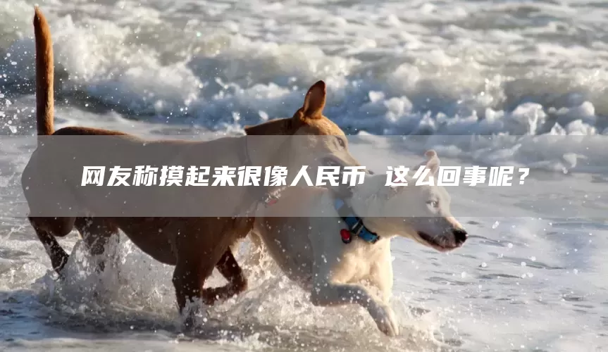 网友称摸起来很像人民币 这么回事呢？(图1)