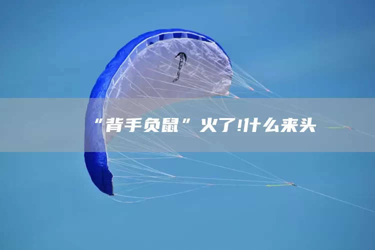 “背手负鼠”火了!什么来头(图1)