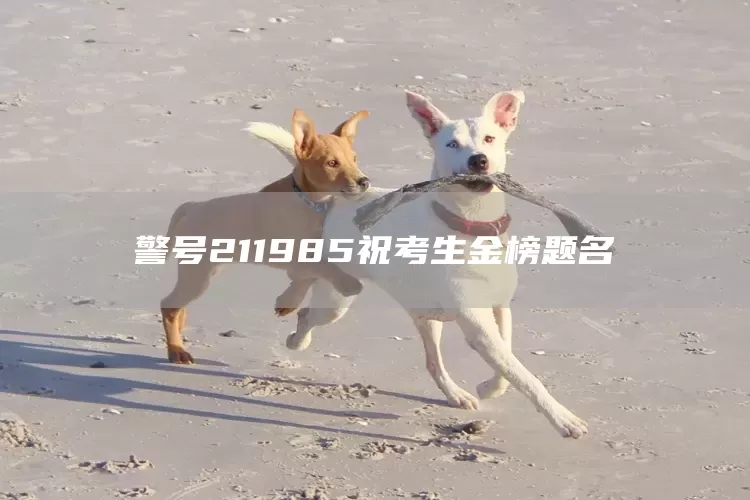 警号211985祝考生金榜题名(图1)