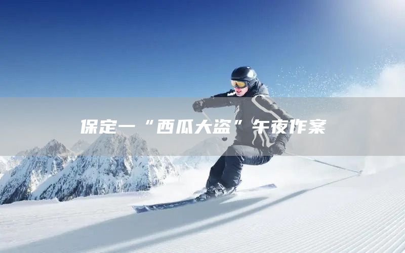 保定一“西瓜大盗”午夜作案(图1)