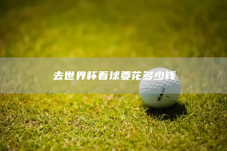 去世界杯看球要花多少钱(图1)