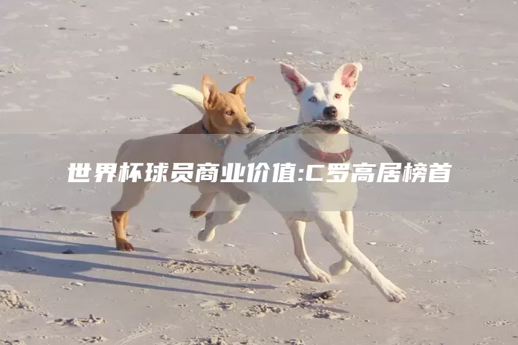 世界杯球员商业价值:C罗高居榜首(图1) 世界杯球员商业价值:C罗高居榜首(图1)