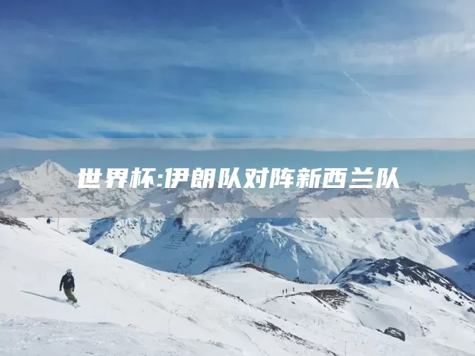 世界杯:伊朗队对阵新西兰队(图1)