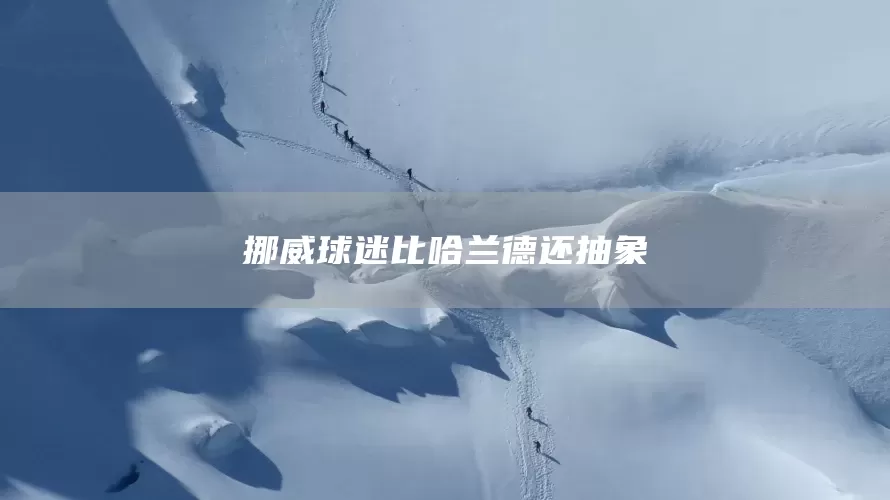 挪威球迷比哈兰德还抽象(图1)