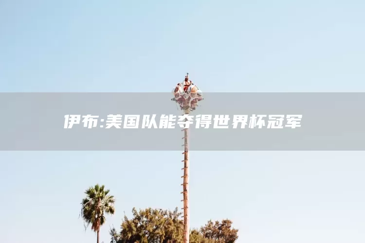 伊布:美国队能夺得世界杯冠军(图1)