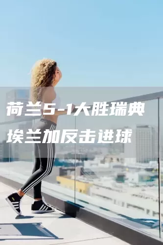 荷兰5-1大胜瑞典 埃兰加反击进球(图1)