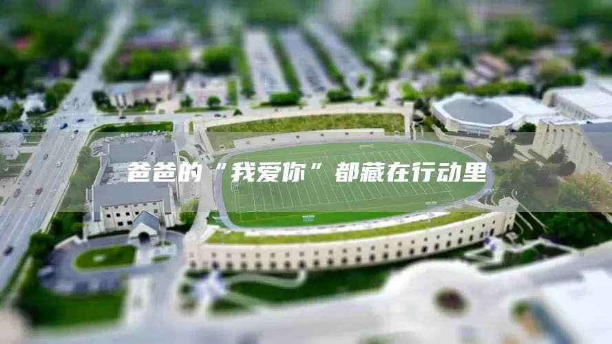 爸爸的“我爱你”都藏在行动里(图1)