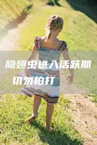 隐翅虫进入活跃期 切勿拍打(图1)