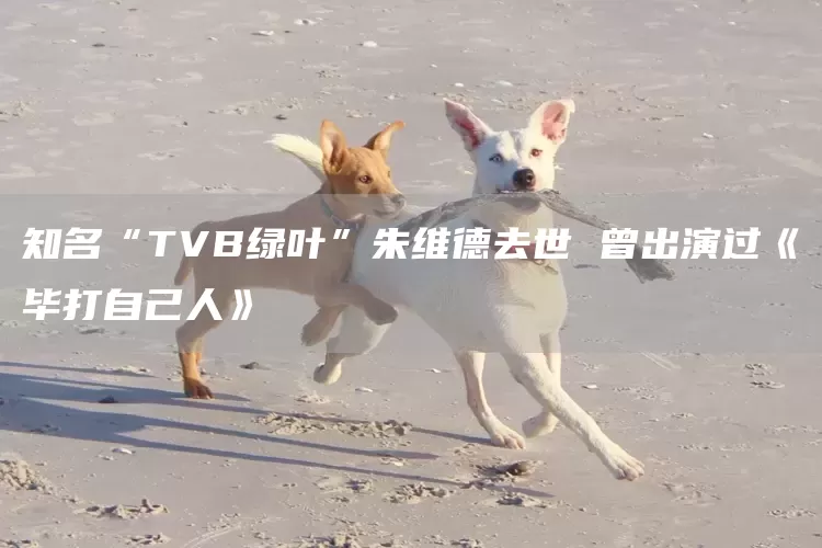 知名“TVB绿叶”朱维德去世 曾出演过《毕打自己人》(图1) 知名“TVB绿叶”朱维德去世 曾出演过《毕打自己人》(图1)