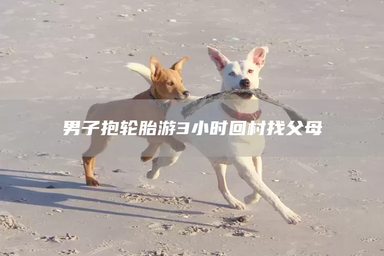 男子抱轮胎游3小时回村找父母(图1)
