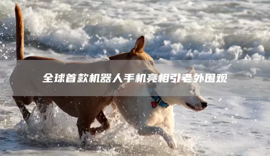 全球首款机器人手机亮相引老外围观(图1) 全球首款机器人手机亮相引老外围观(图1)